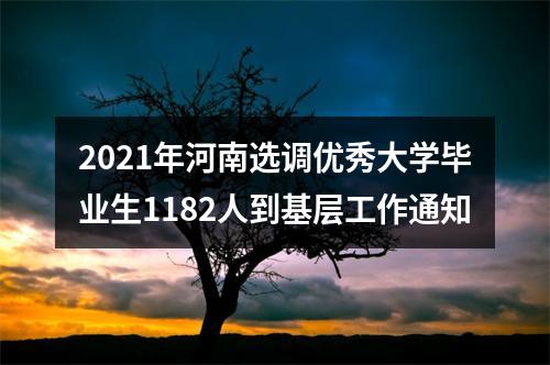 2021年河南选调优秀大学毕业生1182人到基层工作通知 图片