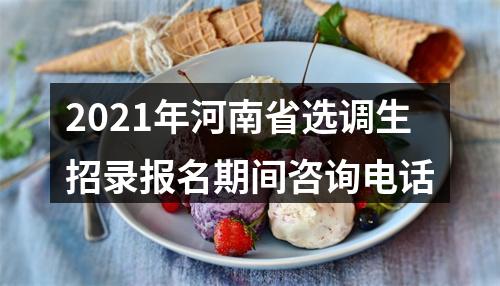 2021年河南省选调生招录报名期间咨询电话 图片