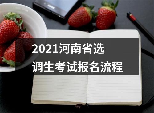 2021河南省选调生考试报名流程 图片