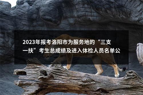 2023年报考洛阳市为服务地的“三支一扶”考生总成绩及进入体检人员名单公示 图片