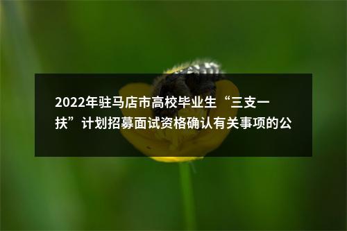 2022年驻马店市高校毕业生“三支一扶”计划招募面试资格确认有关事项的公告 图片