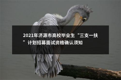 2021年济源市高校毕业生“三支一扶”计划招募面试资格确认须知 图片
