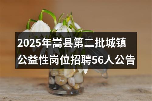 2025年嵩县第二批城镇公益性岗位招聘56人公告 图片