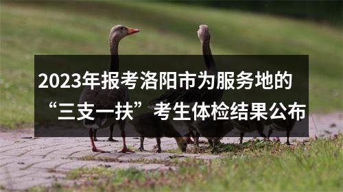 2023年报考洛阳市为服务地的“三支一扶”考生体检结果公布 图片