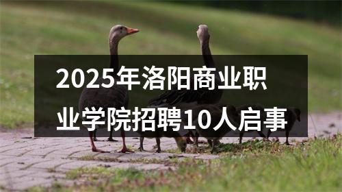 2025年洛阳商业职业学院招聘10人启事 图片