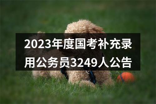 2023年度国考补充录用公务员3249人公告 图片