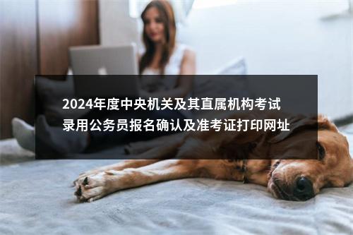 2024年度中央机关及其直属机构考试录用公务员报名确认及准考证打印网址 图片