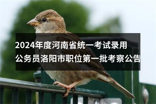 2024年度河南省统一考试录用公务员洛阳市职位第一批考察公告 图片