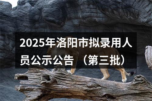 2025年洛阳市拟录用人员公示公告 （第三批） 图片