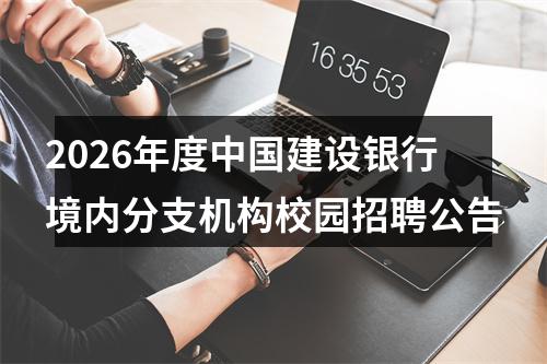 2026年度中国建设银行境内分支机构校园招聘公告 图片