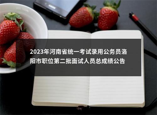 2023年河南省统一考试录用公务员洛阳市职位第二批面试人员总成绩公告 图片