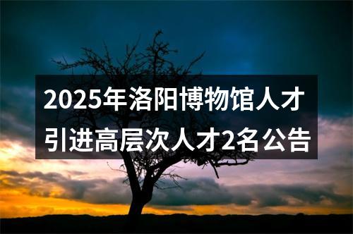 2025年洛阳博物馆人才引进高层次人才2名公告 图片