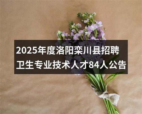 2025年度洛阳栾川县招聘卫生专业技术人才84人公告 图片