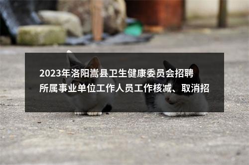 2023年洛阳嵩县卫生健康委员会招聘所属事业单位工作人员工作核减、取消招聘计划和明确考试时间的公告 图片