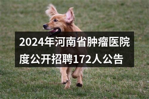 2024年河南省肿瘤医院度公开招聘172人公告 图片
