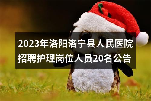 2023年洛阳洛宁县人民医院招聘护理岗位人员20名公告 图片
