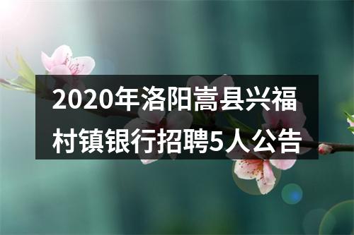 2020年洛阳嵩县兴福村镇银行招聘5人公告 图片